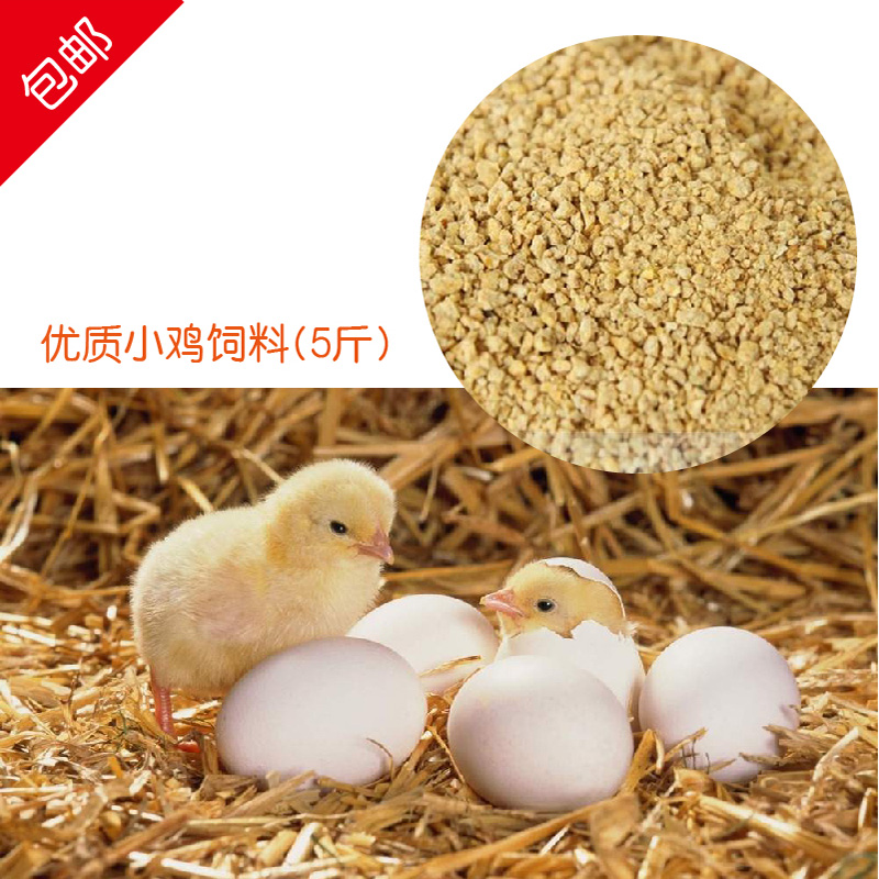 鸡饲料