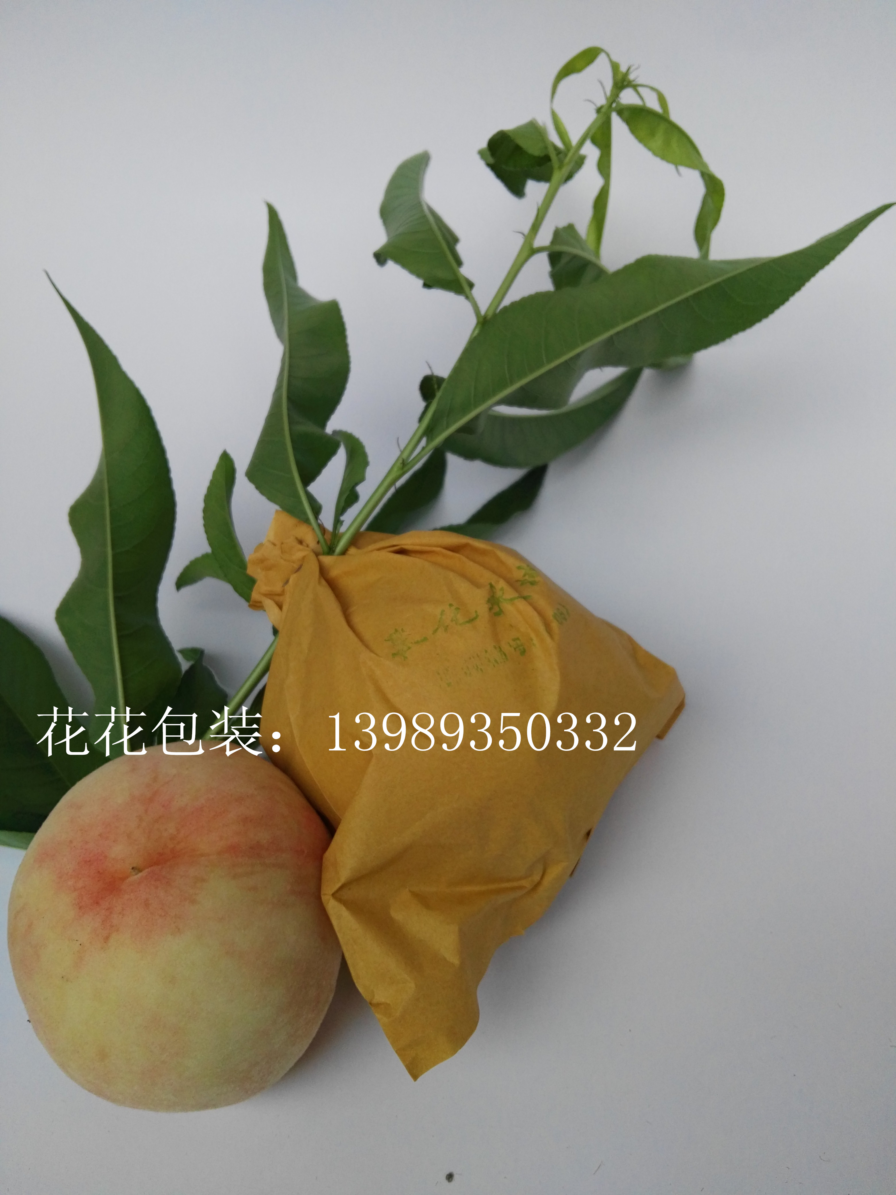 奉化水蜜桃袋子专用套袋桃子袋纸桃套袋育果袋