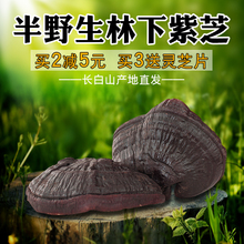 泓品堂紫灵芝500g长白山林芝半野生灵芝纯天然深山灵芝茶紫灵芝片