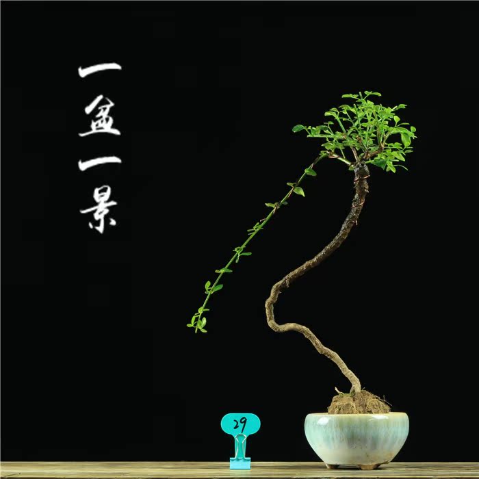 辰辰ӭ辰׮΢۰칫