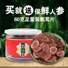 送新鲜人参一支 鹿茸血片60克 天天特价 长白山梅花鹿茸片