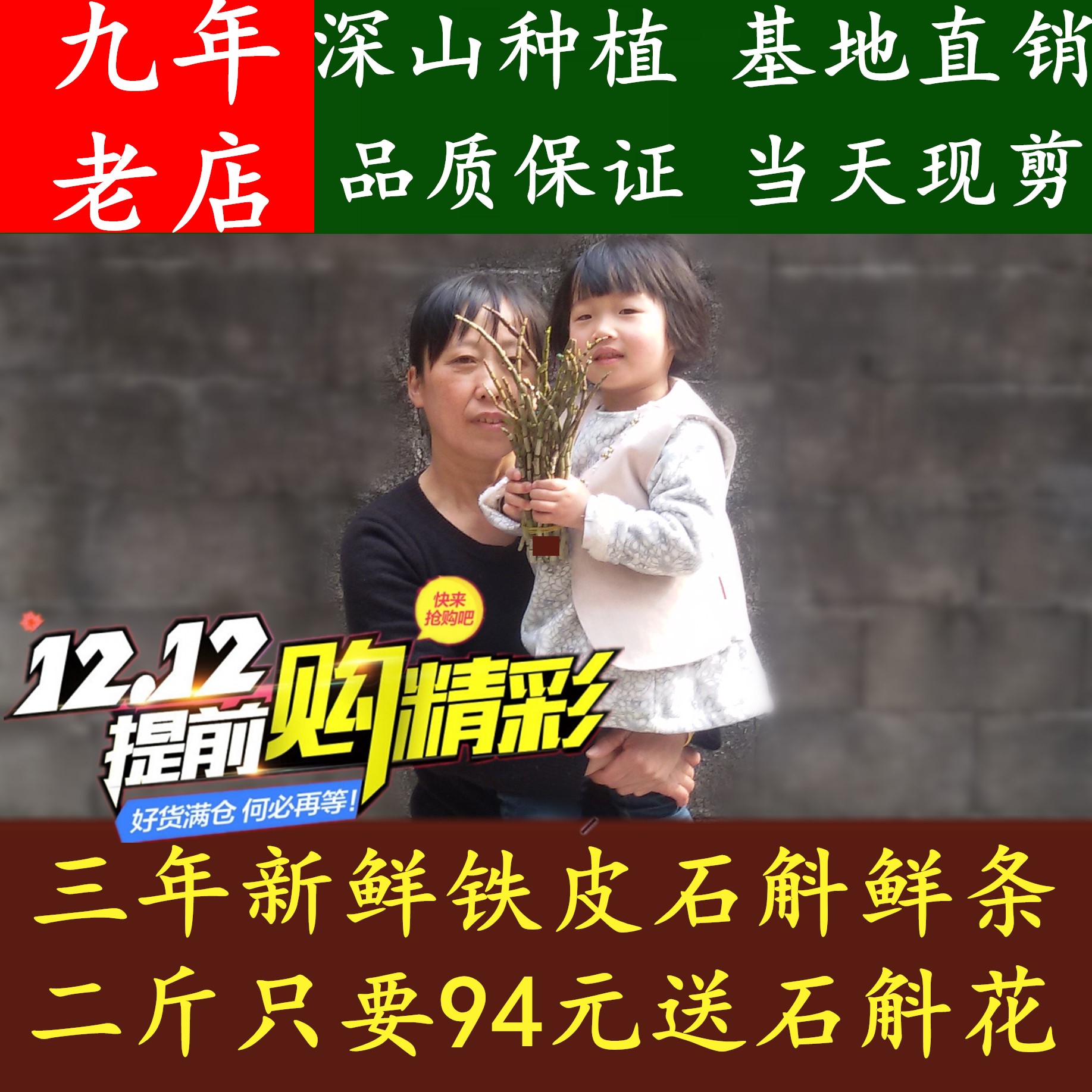 铁皮石斛鲜条雁荡山基地直销新鲜滋补霍山枫斗三年1000G送石斛花