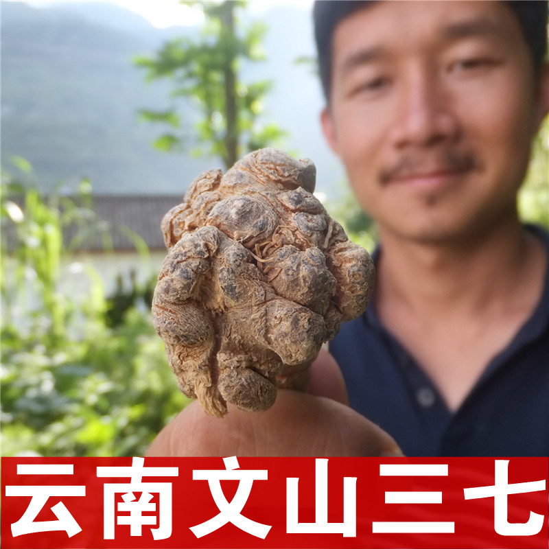 三七粉正品文山特级云南纯天然田七野生农户春七面膜生三七头500g