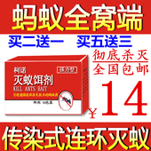 包邮 灭蚂蚁药家用灭蚁饵剂杀虫剂灭蚁清除杀除红黄黑蚂蚁粉全窝端