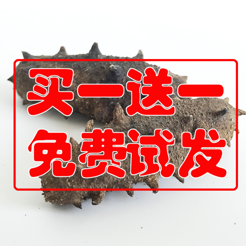 琢玉小铺 野生淡干海参 海参刺参干货 烟台5A辽参 纯淡干50g包邮
