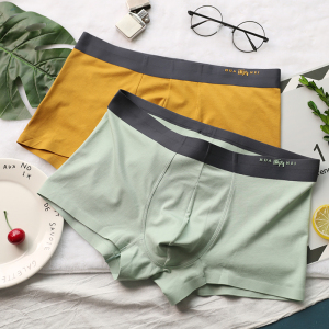 青年莫代尔棉内裤一条装