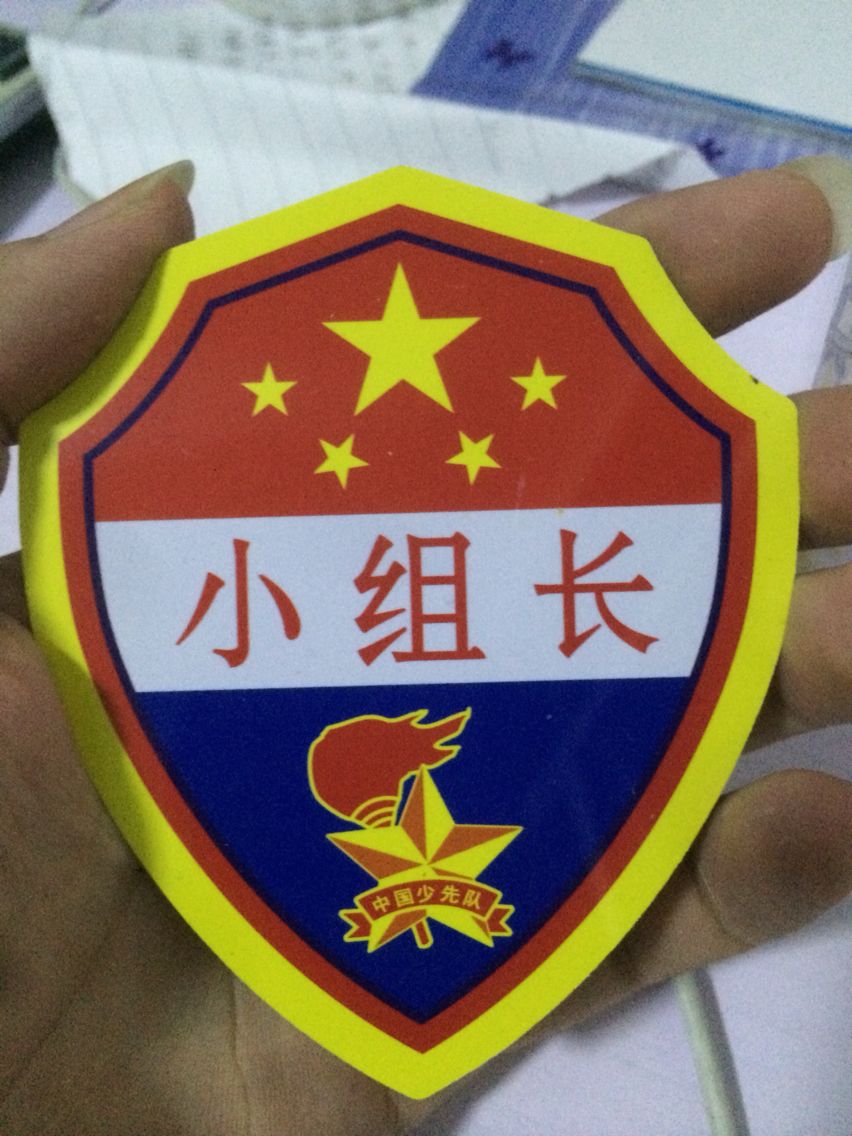 小学生臂章 袖章 大队委标志 小组长大号 小组长 标志