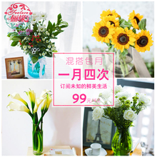 办公室 包邮 包月家养鲜花订阅每一周一花青岛顺丰 山东烟台济南99元