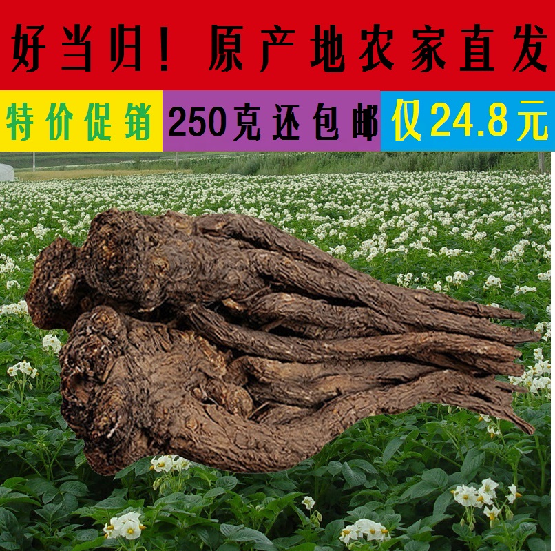 岷县农家野生级中药材头片粉当归250g包邮纯天然煲烫泡酒佳品
