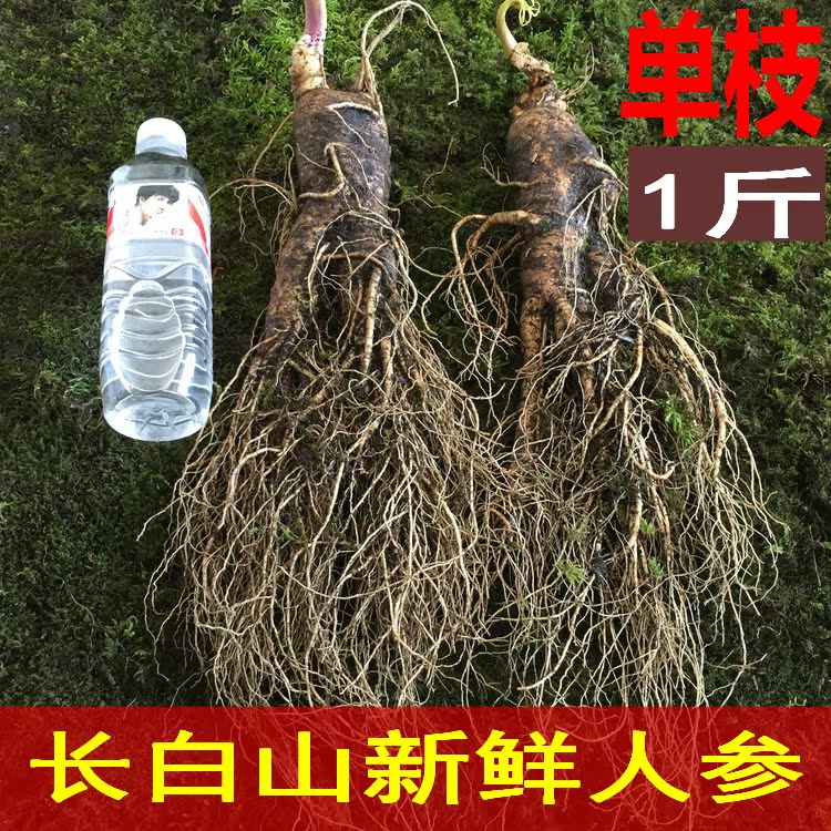 长白山人参1斤大人参边条人参单枝500克特大新鲜人参现挖带土园参