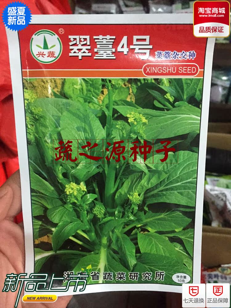 广东菜心种子白菜芯种子利隆牌特级甜白菜芯种子秋季冬季播种蔬菜