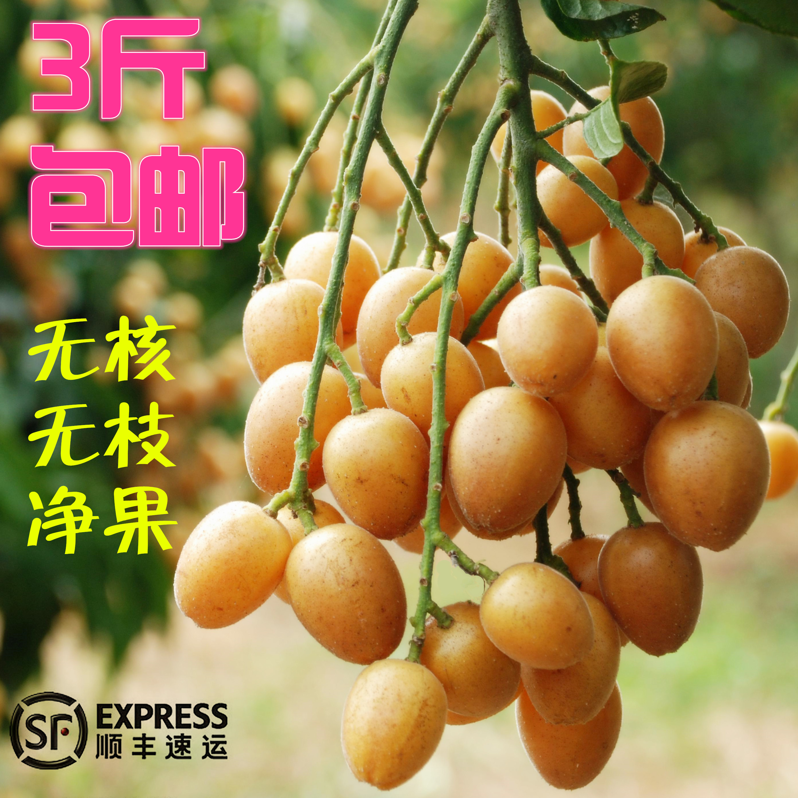 郁南新鲜无核黄皮果/黄枇果/无籽黄皮果王广东特产水果冷藏空运