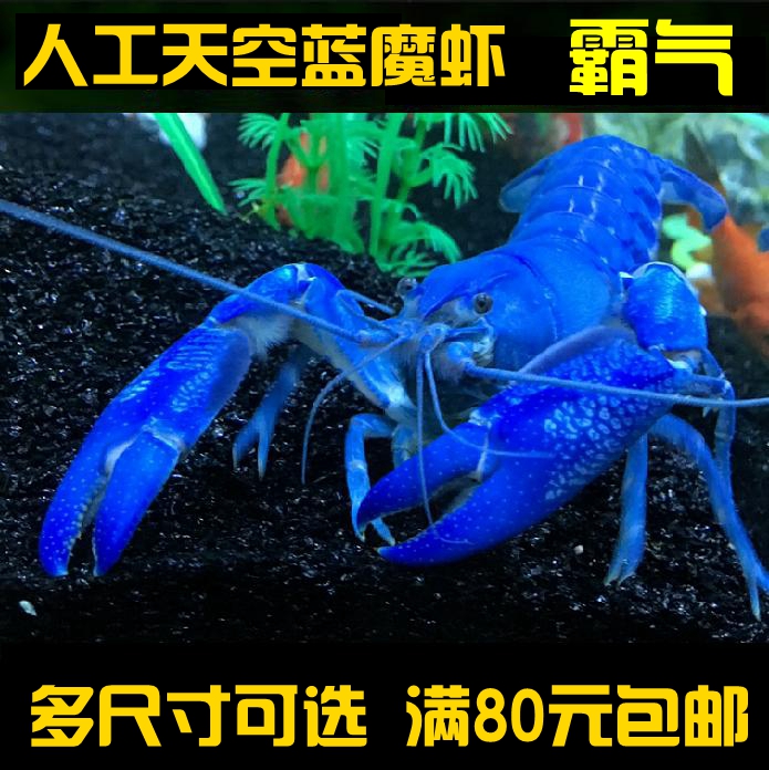 推荐最新人工智能中模式识别 模式识别与人工