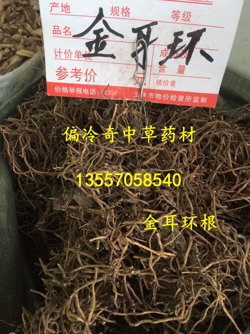 偏冷中药材 牛尾结,牛尾蕨,大通根,大伸筋草 500克