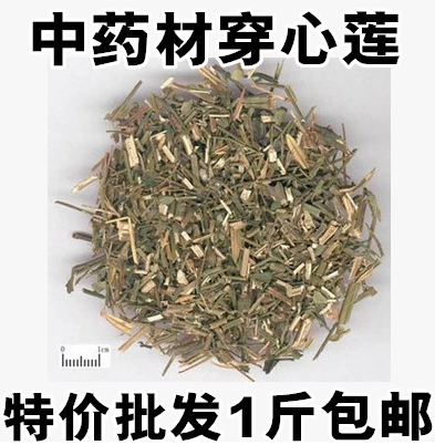 穿心莲中药材 500g 野生干穿心莲 新货 中药材穿心莲 中药材