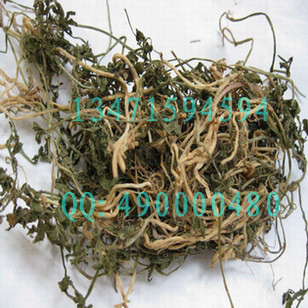 半边莲/半边菊/金菊草/金鸡舌/细米草/半边连 半斤250克