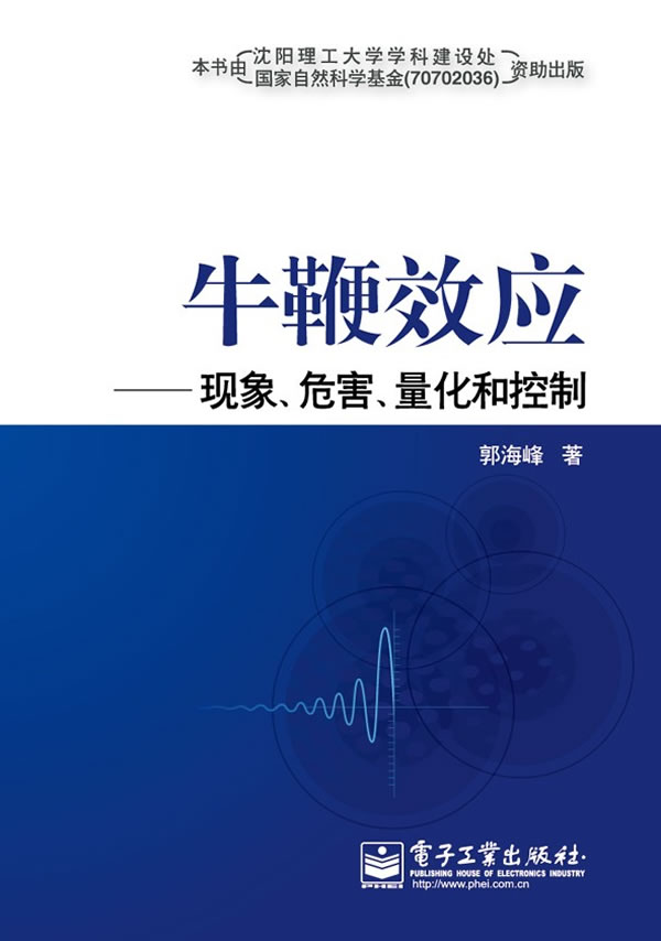 牛鞭效应——现象危害量化和控制,郭海峰  著,电子工业出版社【保证正版现货】