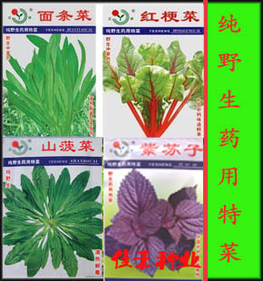 野生药用特菜种子 红梗菜/面条菜/山菠菜/紫苏子种子 中草药