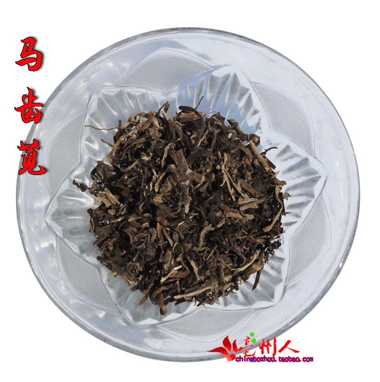 绝对正品 马齿苋马齿草马齿菜7元一斤5斤包邮偏远地区除外