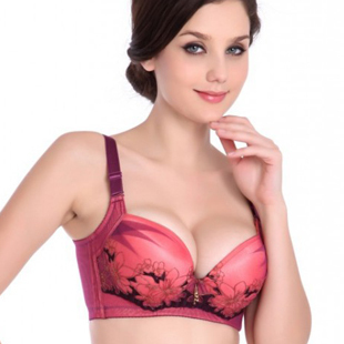 包邮最新外贸原单正品<em>文胸</em>调整型聚拢<em>女士</em>内衣