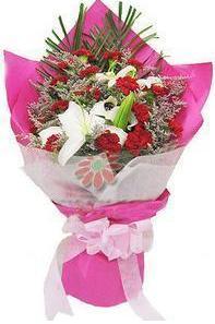 [2015爆款]南昌花店 粉掌 含盆 花朵独特 家居 办