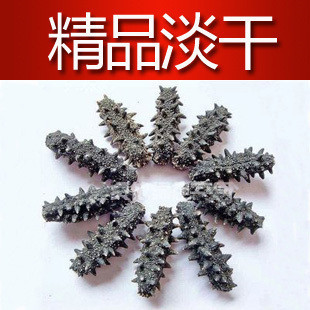 大连海参辽参 无盐淡干海参 4.5元/克 一只4-10克不等
