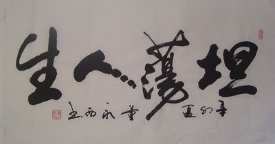 书法作品客厅客厅书画国画字画坦荡人生 三尺100*50 董永西9淘