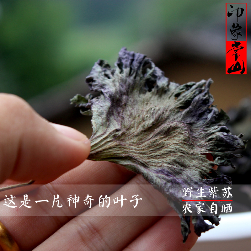印象常山 新鲜正宗野生紫苏叶 纯天然紫苏叶干 去腥烧鱼虾蟹香料