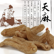 正宗云南昭通小草坝野生天麻500克干货无硫 可免费磨天麻粉 君愉