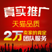 网络百度SEO网站优化排名服务 商品流量推广淘宝代运营网店托管