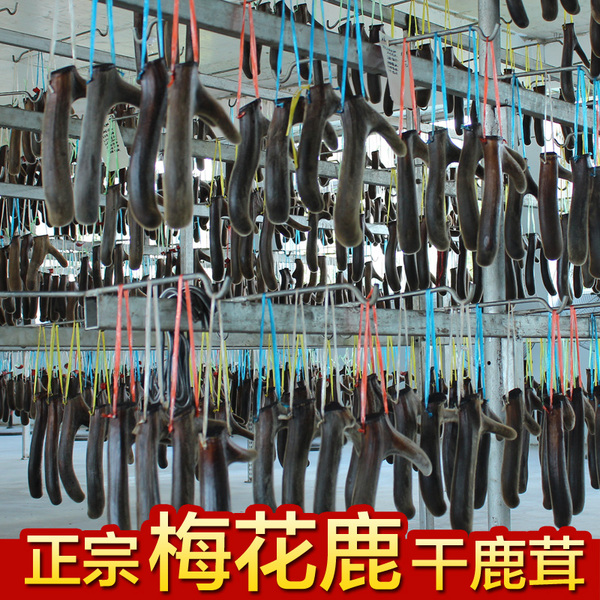 热销鹿茸 宜鹿堂 干梅花鹿茸整枝 干鹿茸干二杠头茬鹿茸礼盒_易购街