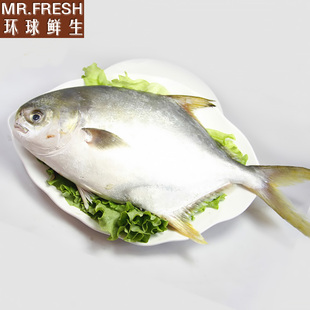 ʱҰ  Ŀ dhaȥ