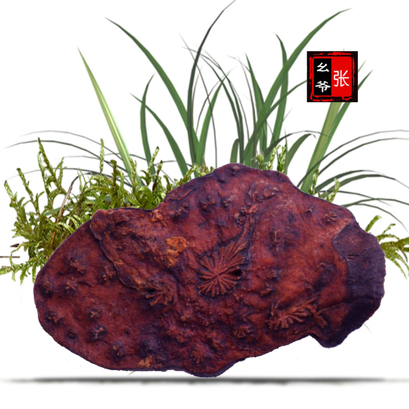 【张幺爷】制首乌野生炙制何首乌/片/传统蒸制茶可磨粉 包邮500g