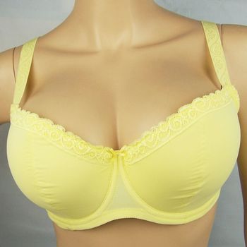 外贸欧单超大<em>罩杯</em>无<em>钢圈</em>胖MM大码<em>文胸</em> YL38