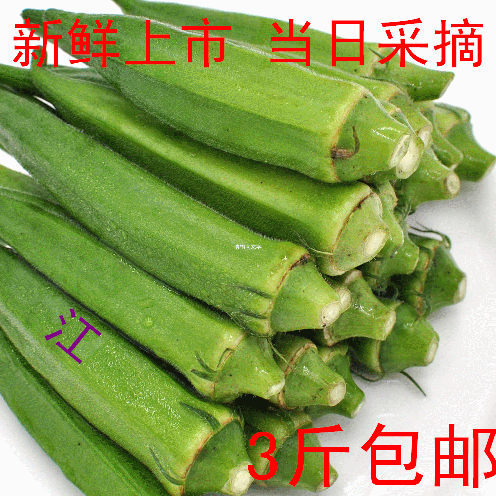羊角豆 黄秋葵有机现拍现摘
