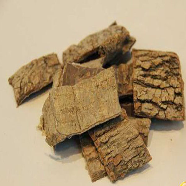 杜仲 长白山中药材