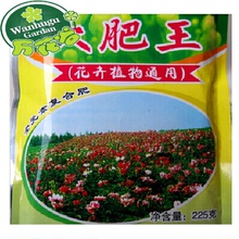 大肥王花卉盆栽植物木草肥料栽花种蔬菜绿叶催花园艺有机环保肥料