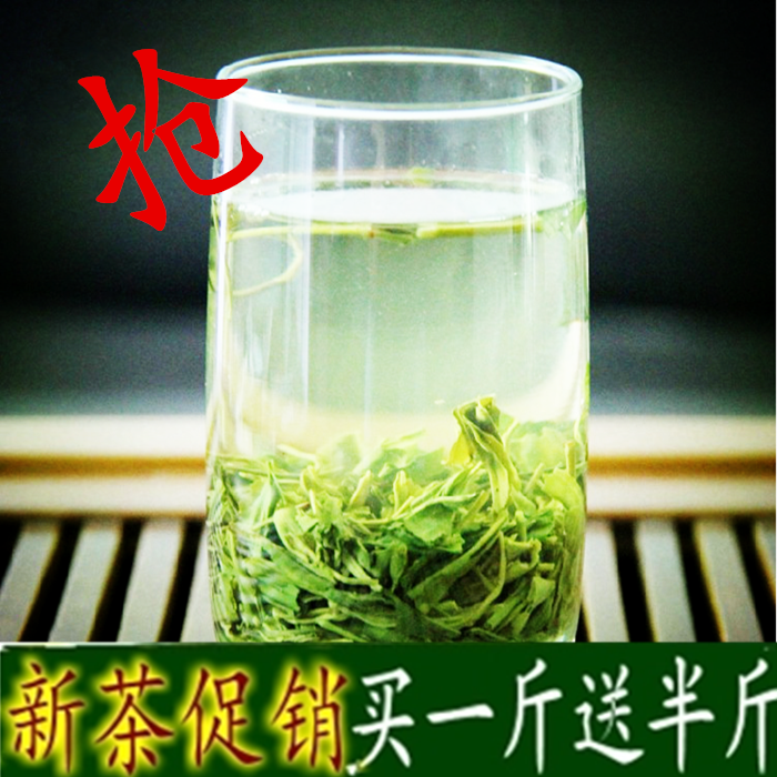 高山有机茶 茶叶日照绿茶2016年新茶散装雪青 春茶 炒青500g 包邮
