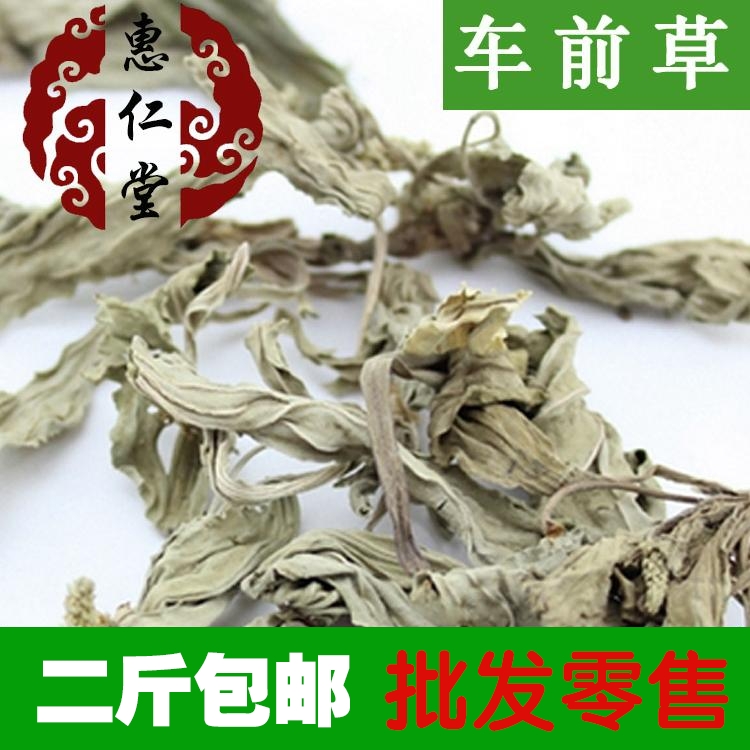中药材车前草 野生车前草优质全草 车前草 新品干货 500g2斤包邮