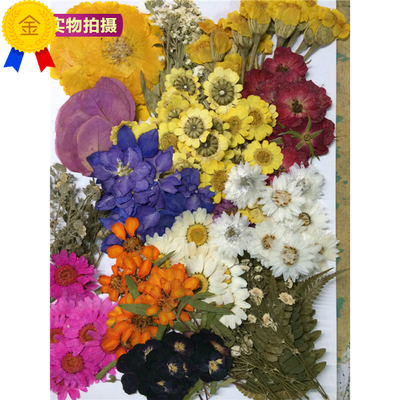 花材包 260朵包邮 押花 压花 滴胶干花 植物教学 diy手工花材