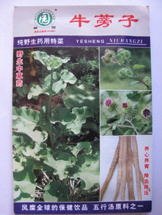 国盛家庭实惠装蔬果 四季播蔬菜种子 牛蒡子种子 纯野生药用特菜