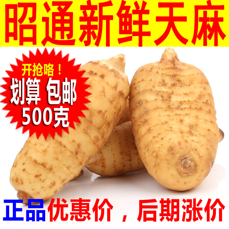 【现货】500克新鲜天麻 昭通小草坝乌天麻云南昭通冬天麻 现挖