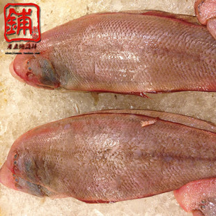 舟山海鲜 新鲜海鱼 正宗野生舌鳎/玉鳎比目鱼舟山特产一斤四五条