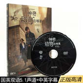 产地高清电影碟中英双语 新索正版DVD神奇动物在哪里怪兽与它们