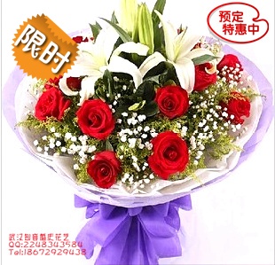 推荐最新武昌宏基汽车站 武昌宏基汽车站官网