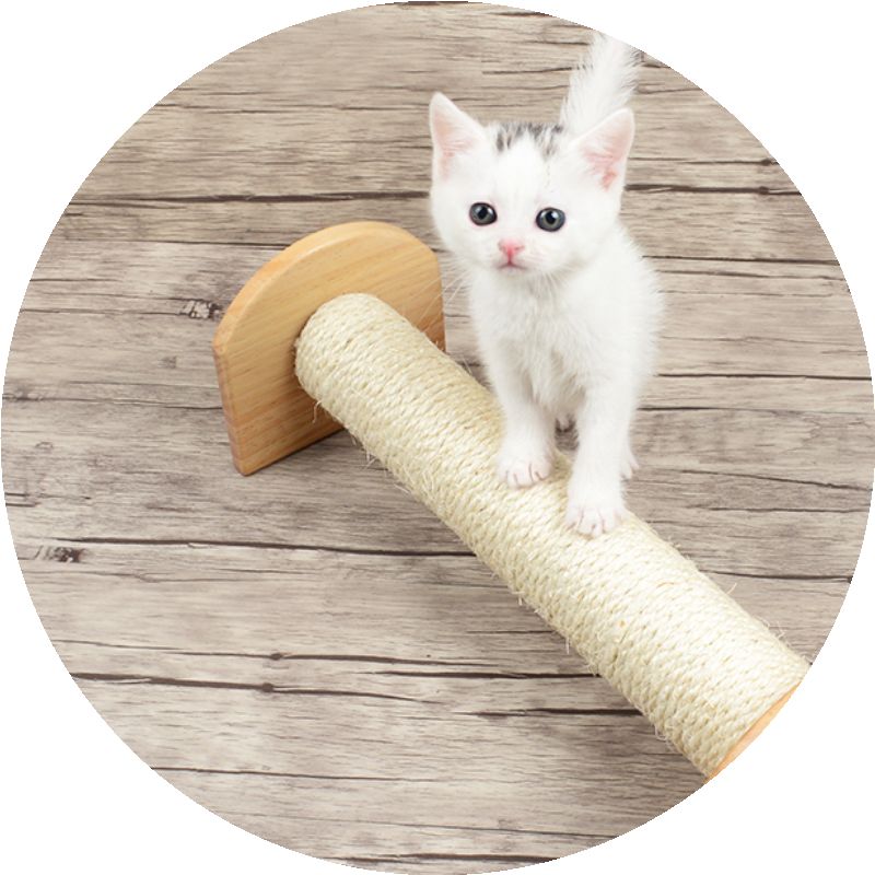 正品[挠痒按摩]隔靴挠痒评测 美女双手绑着被挠