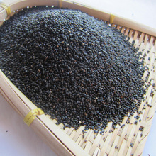 阿明东北特产 炒熟 包邮 黑芝麻 东北小粒熟黑芝麻500克