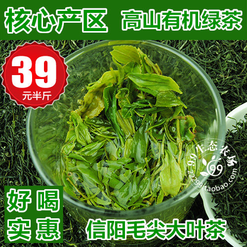 绿茶 信阳毛尖 2016新茶叶 春茶 浓香耐泡高山雨前茶自产自销250g