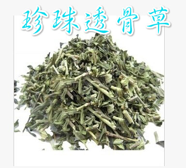 中药材正品 野生珍珠透骨草 500克 包邮可磨粉质量保证