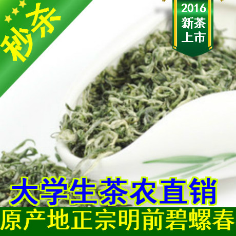 2016年明前新茶  特级正宗原产地苏州洞庭山碧螺春绿茶茶叶批发